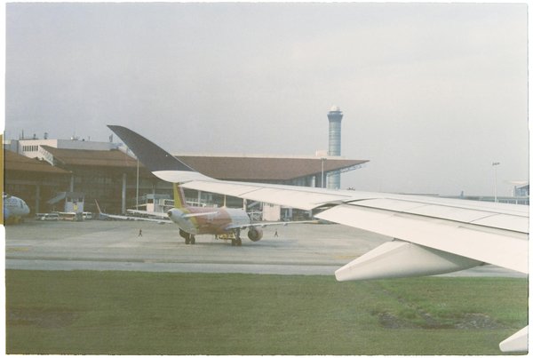 Quels sont les meilleurs itinéraires pour une randonnée en forêt de mangroves en Floride?